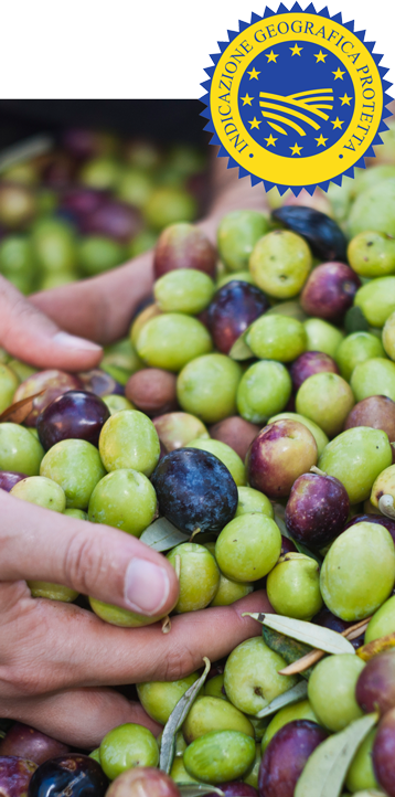 Olio extravergine di Oliva Igp Toscano